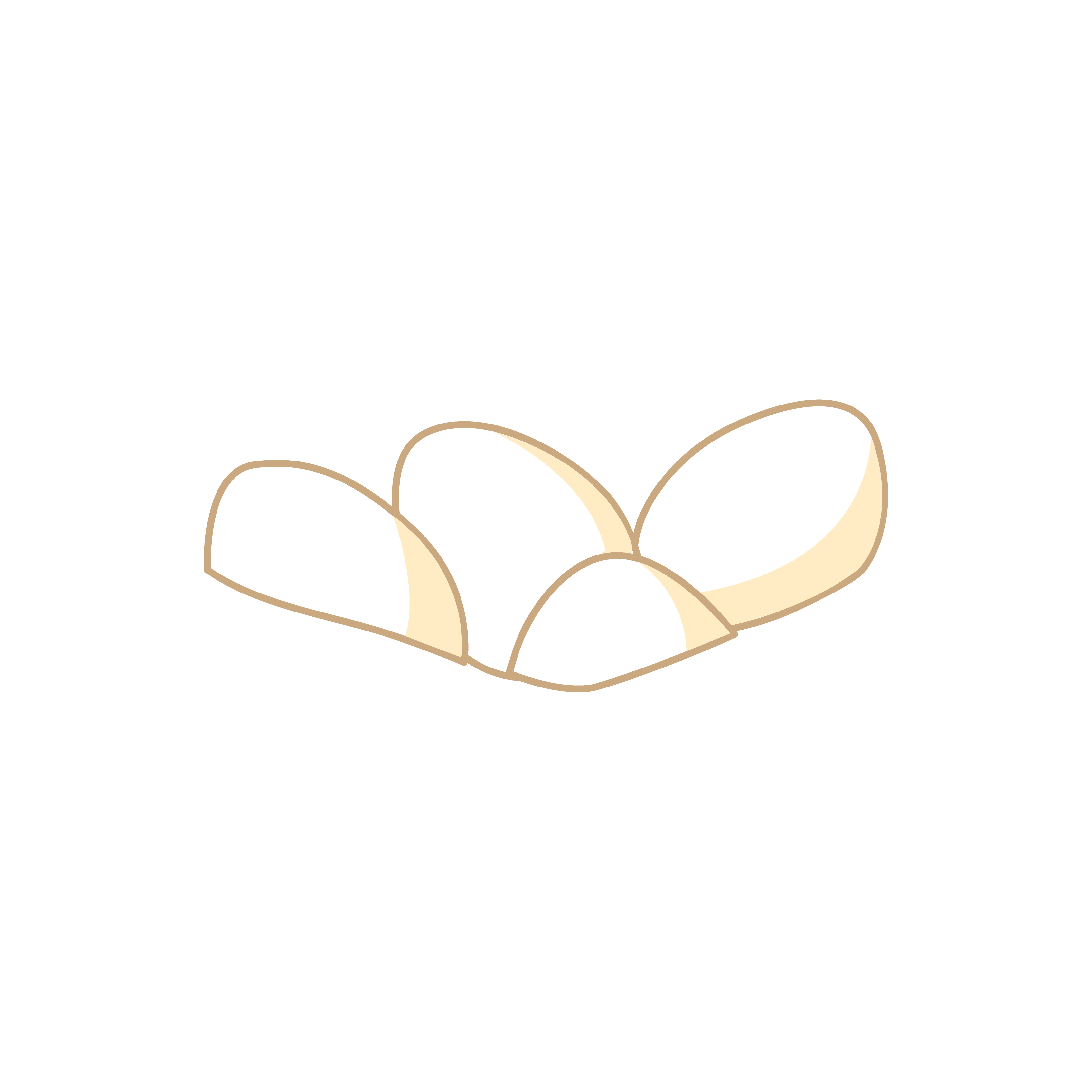 Egg animation